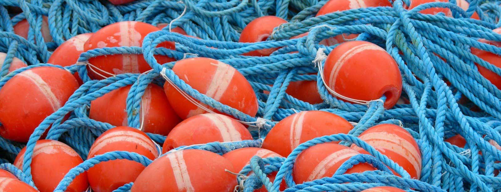 Premiere Seafood Supplier